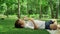 Adorable boy lying on blanket in forest. kid blowing soap bubbles outdoors