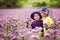 Adorable boys in purple field, holding flowers