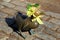 Adorable brass duck on brick walkway, wearing yellow bonnet