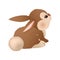 Adorable brown bunny. Vector