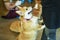 Adorable brown welsh corgi sitting on wood floor while learning something and looking owner at home. Corgi doggy playing with