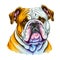 Adorable Bulldog Dog Illustration: Playful Canine Art for Pet Lovers.