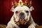 Adorable bulldog puppy in red velvet, crowned with elegant gold