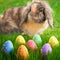 Adorable bunny and Easter eggs