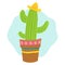 Adorable cactus in mexican sombrero