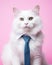 Adorable cat with a tie, posed in a professional studio portrait session against a backdrop