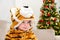 Adorable caucasian child with costume of tiger,symbol of New 2022 Year sitting on background of Christmas tree,smile