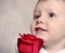 Adorable cherubic little boy with a red rose