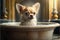 Adorable Chihuahua dog in a bath, vintage setting