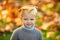 Adorable child with autumn leaves in the beauty park. Fall foliage, yellow leaves. Yellow maple leaves on kids head.