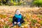 Adorable child boy with leaves in autumn park