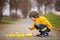 Adorable child, boy, playing in park with rubber ducks, having f