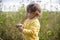 adorable child toddler in a yellow sweater examines flowers in the field.