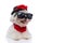 Adorable cool bichon dog wearing a red bandana