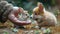 Adorable corgi puppy looking and sniffing a baby rabbit in human\\\'s hand