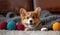 An adorable corgi puppy lying on a grey knitted blanket surrounded by knitted balls