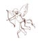 Adorable Cupid with bow aiming or shooting arrow hand drawn with contour lines on white background. Flying angel or god