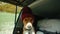 Adorable cute dog in beanie hat inside camper van