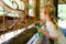 Adorable cute preschool girl feeding little wild deer in a wild animal forest park. Happy child petting animals on