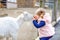 Adorable cute toddler girl feeding little goats and sheeps on a kids farm. Beautiful baby child petting animals in the