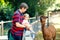 Adorable cute toddler girl and young father feeding lama on a kids farm. Beautiful baby child petting animals in the zoo