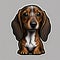 Adorable Dachshund Cartoon Sticker: A Cute and Playful Companion
