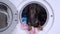 Adorable dachshund dog sits inside drum of washing machine with dirty laundry