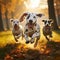 Adorable Dalmatian dogs playfully running outdoors on a sunny autumn day