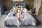 Adorable daughter with mother and father relaxing on bed at home