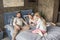 Adorable daughter with mother and father relaxing on bed at home