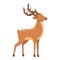 Adorable deer icon cartoon vector. Nature baby