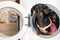 Adorable dog breed of dachshund, black and tan, looking from washing machine. Laundry and dry cleaning pet service. Funny ad for y