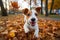 Adorable Dog breed Jack Russell close up generative AI