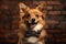 Adorable Dog In A Dapper Bowtie And Suspenders For A Classic Look