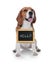 Adorable dog with Hello sign on white background