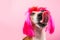 Adorable dog pup with long huge tongue. Pinky style. ironic funny portraits of a dog in a wig