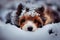 Adorable dog puppy in a pile of snow. 3d illustration Generative AI illustration
