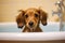 Adorable Dog\\\'s Bath Time Adventure. Heartwarming moment of a cute dog happily taking a bath. Ai generated