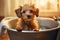 Adorable Dog\\\'s Bath Time Adventure. Heartwarming moment of a cute dog happily taking a bath. Ai generated