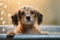 Adorable Dog\\\'s Bath Time Adventure. Heartwarming moment of a cute dog happily taking a bath. Ai generated