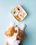 Adorable dog stares with anticipation at a tray of dog treats lying atop a vibrant blue background