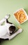 Adorable dog stares with anticipation at a tray of dog treats lying atop a vibrant green background