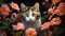 Adorable Domestic Cat Portrait Amidst Flowers