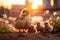 Adorable Ducklings at Sunset in Urban Setting, AI Generated
