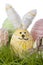 Adorable Easter Bunny Egg