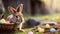 Adorable easter bunny looking at the camera and wicker basket with easter eggs in the middle of nature