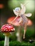 An adorable fairy inspects an enchanting mushroom deep in the emerald forest.