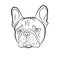 Adorable fawn French Bulldog head portrait. Breed standard. Logo web site kennel. Linear contour vector illustration.