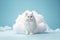 Adorable fluffy cat coming out of a white soft cloud. AI generated