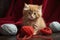 Adorable Fluffy Ginger Kitten Playing With Yarn Balls on Red Fabric.